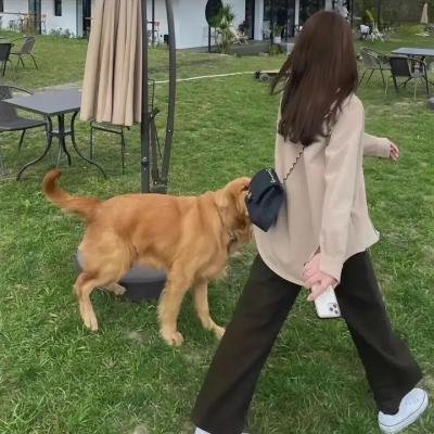 杀手继母
